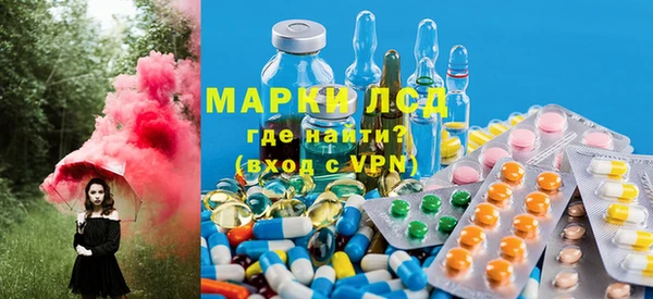 сатива Армянск