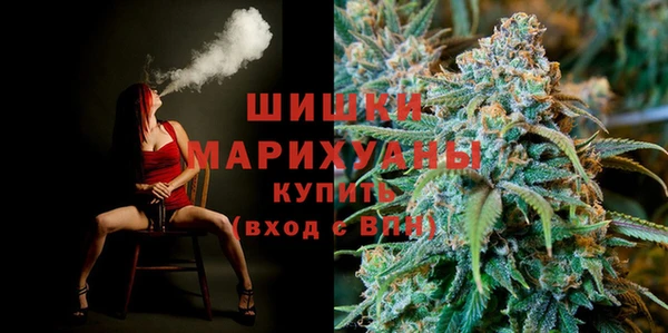 сатива Армянск