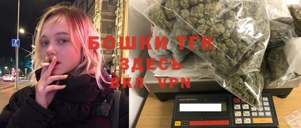 сатива Армянск
