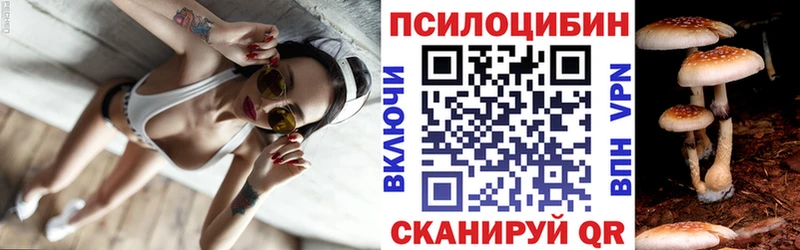 дарнет шоп  Семилуки  Псилоцибиновые грибы мухоморы 